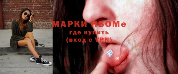 сатива Тында