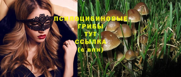 хмурый Туринск