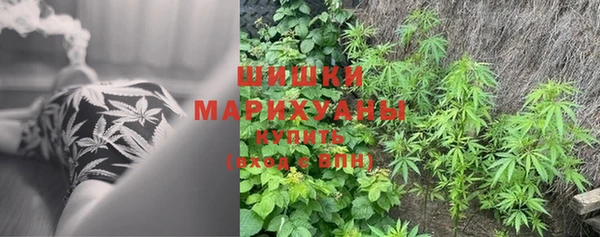 хмурый Туринск
