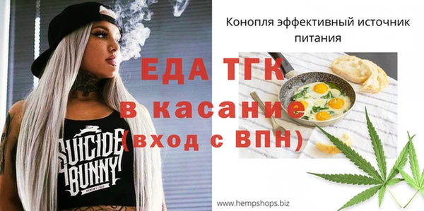 хмурый Туринск