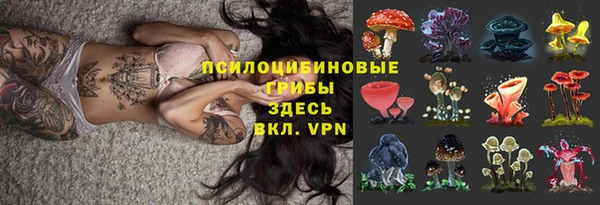 хмурый Туринск