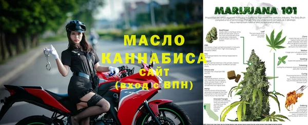 сатива Тында