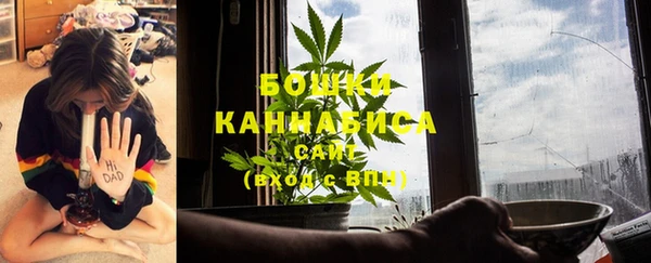 сатива Тында
