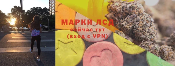 хмурый Туринск