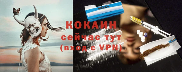 хмурый Туринск