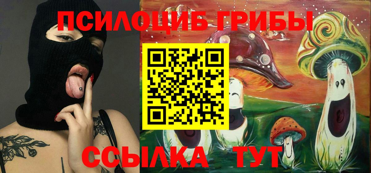 Иркутск  Псилоцибиновые грибы ЛСД  Псилоцибиновые грибы прущие грибы  Вход с VPN 