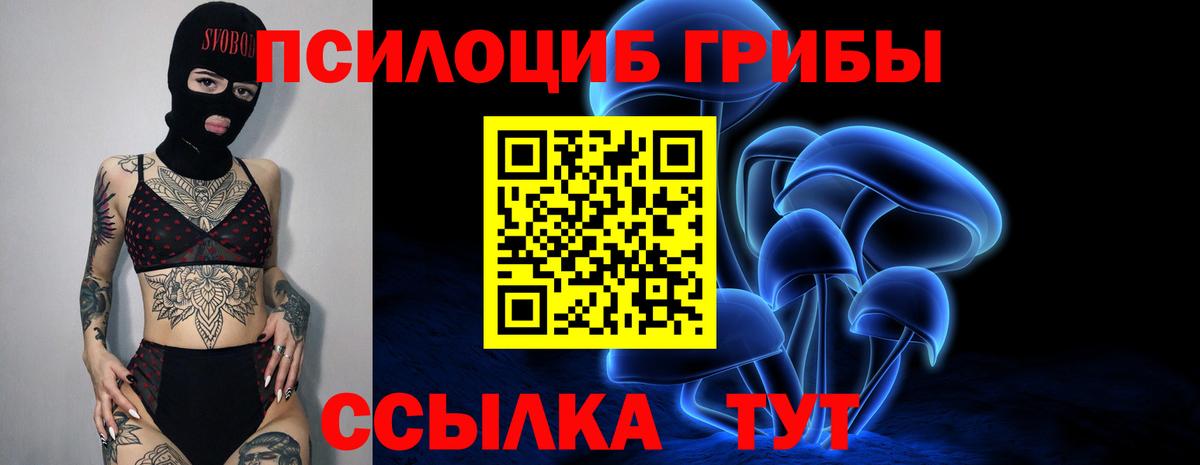 Псилоцибиновые грибы мицелий Иркутск