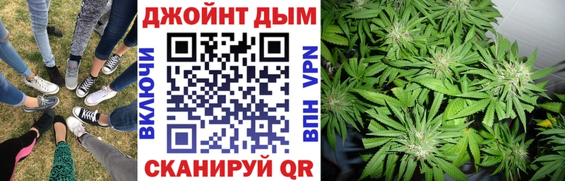 Конопля сатива  Иркутск 